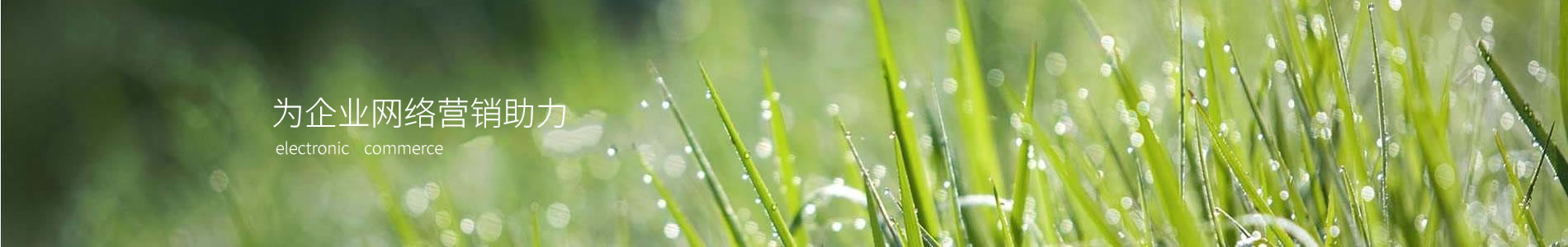 ĳڹ޹˾